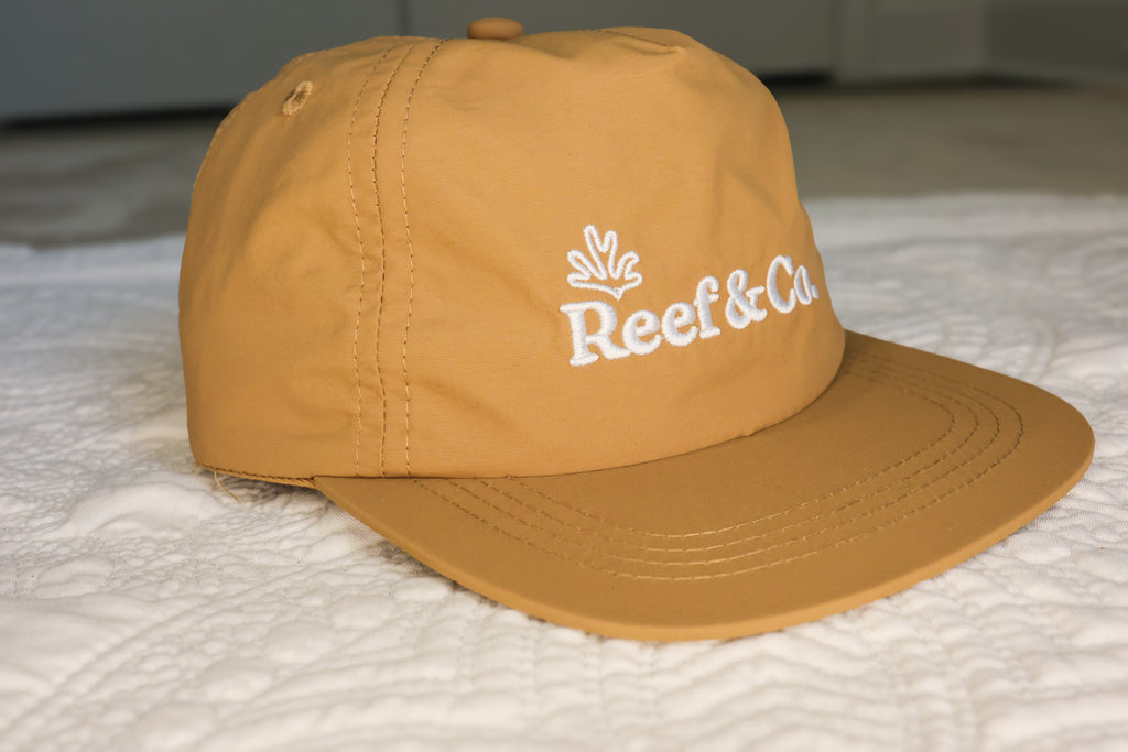 Sandbar Snapback