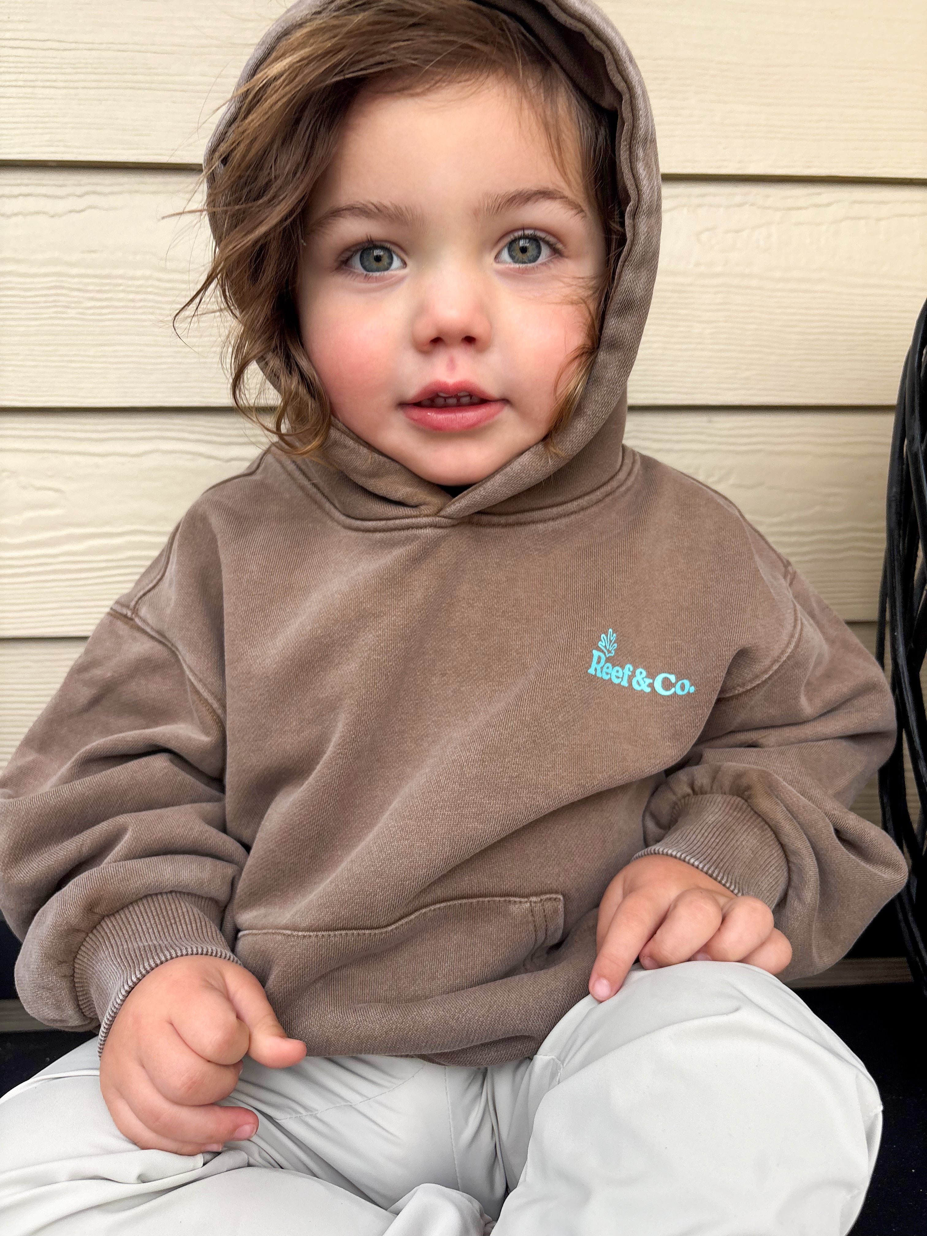 Coastal Hoodie-Acid Wash Brown