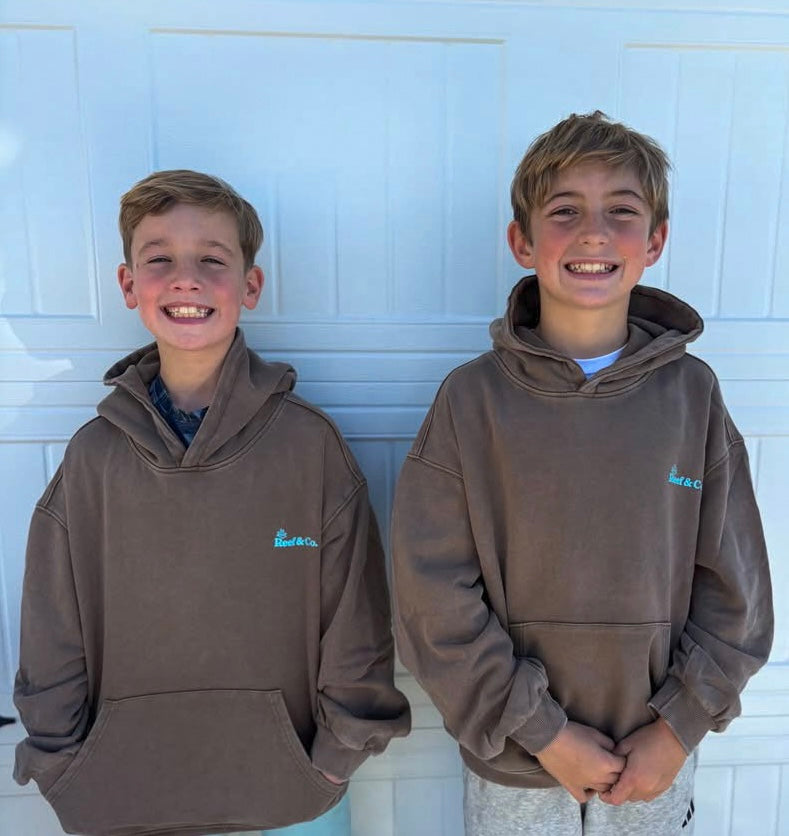 Coastal Hoodie-Acid Wash Brown