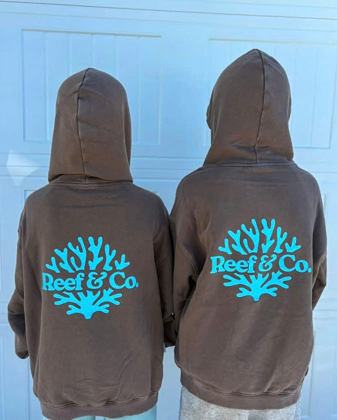 Coastal Hoodie-Acid Wash Brown